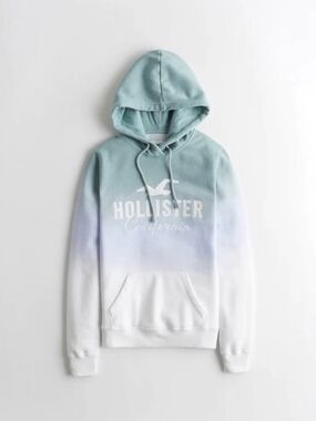 Hollister California Ombre Sage Green to White Logo Hoodie Small Y2K
